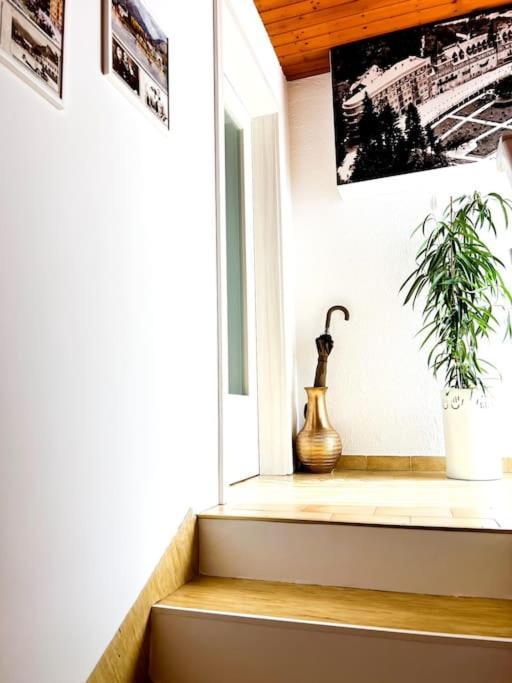 Apartma Kenda Bled Esterno foto